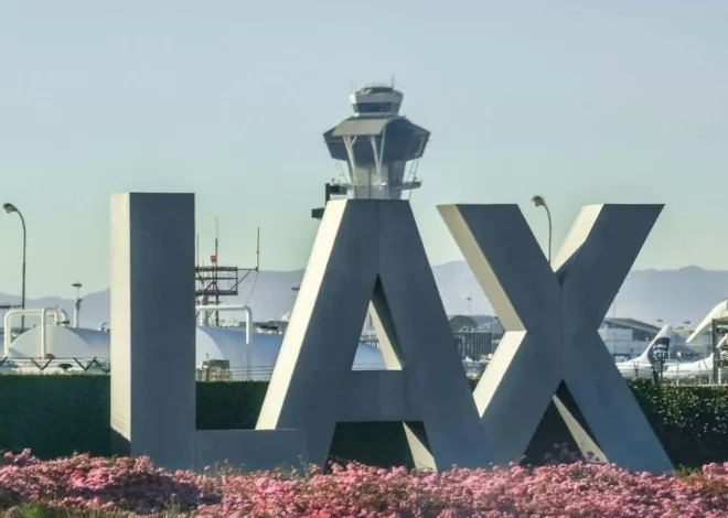 Which Car Service Is Right for You?